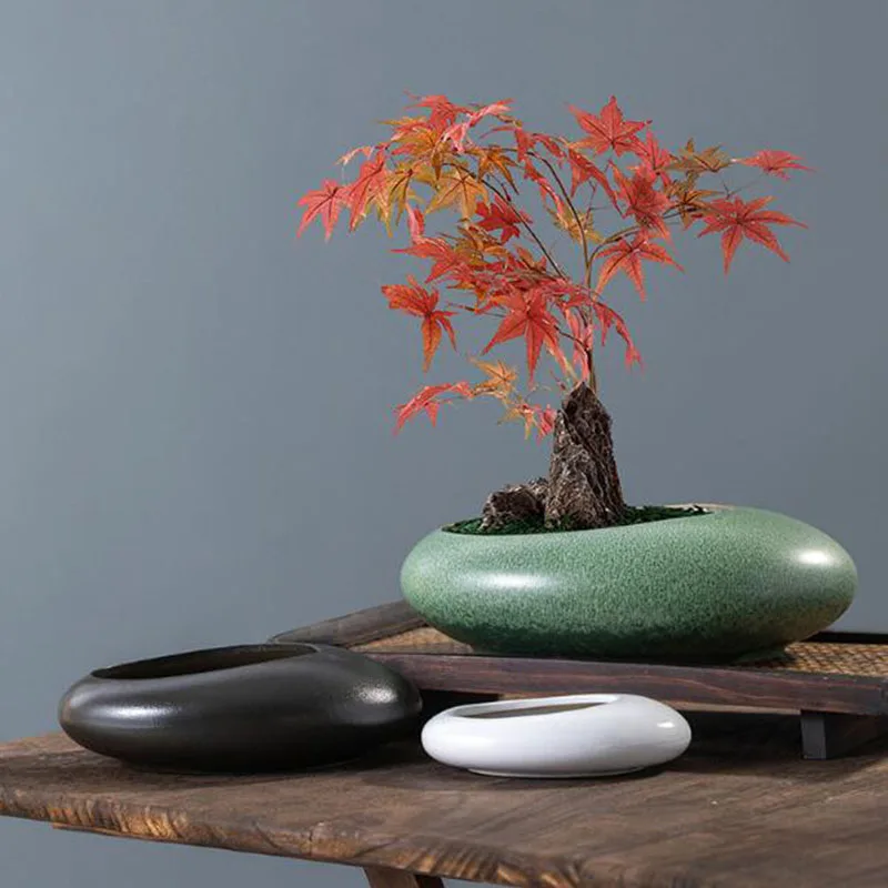 粗陶製の盆栽用花器、観葉植物用鉢、水耕栽培用花器、アスパラガ - Bonsai Garden Art のレビューと価格